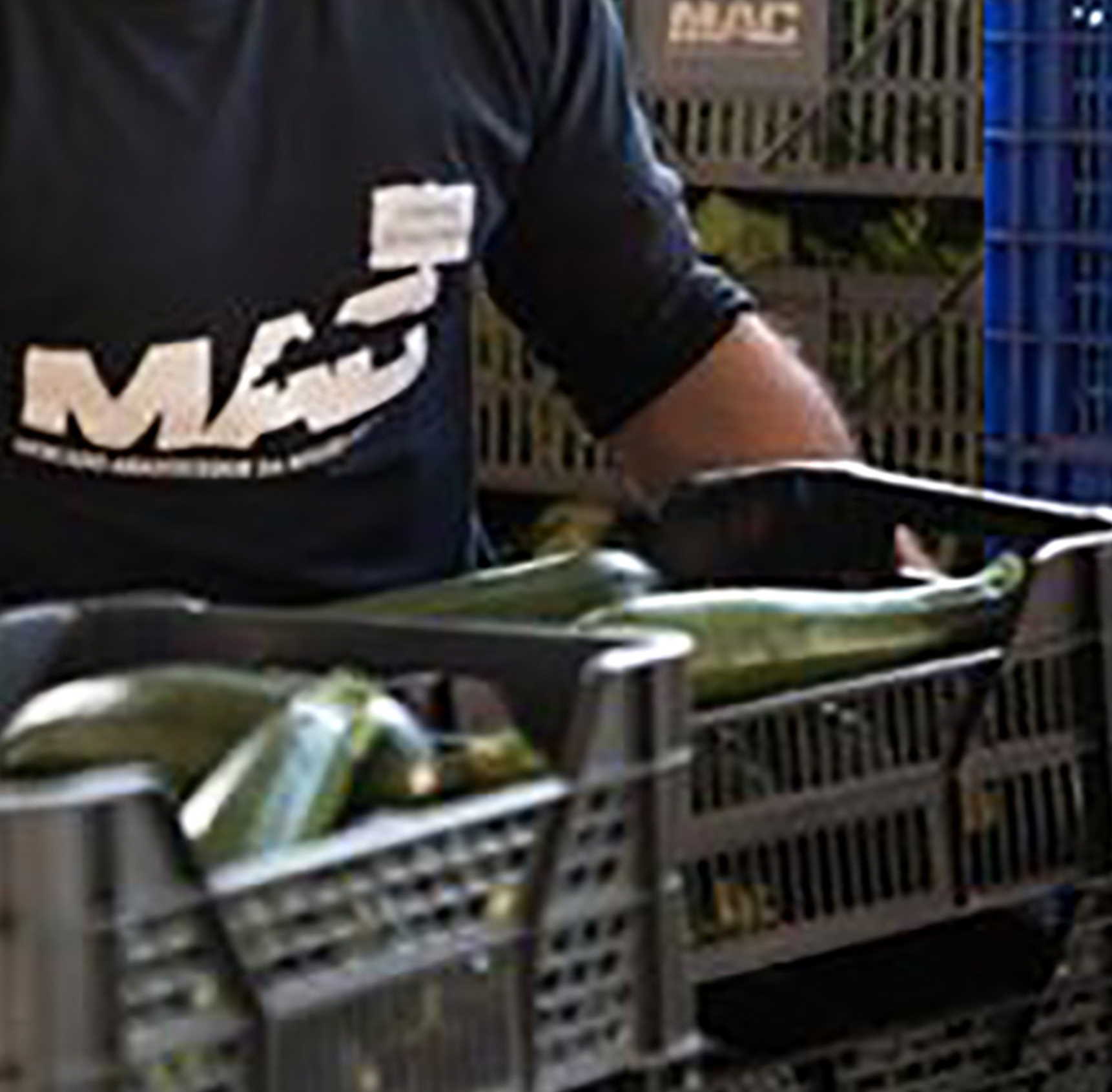 Clickart - Publicidade